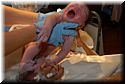 calvin-birth-20071007-024.jpg